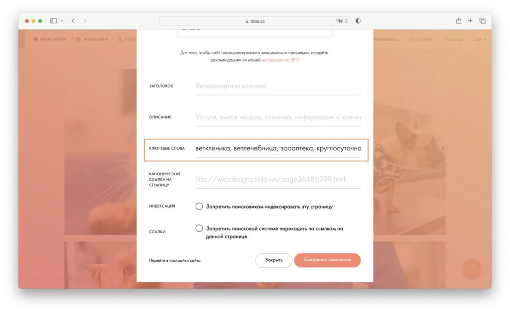 Как настроить SEO на TILDA? Полное руководство по шагам