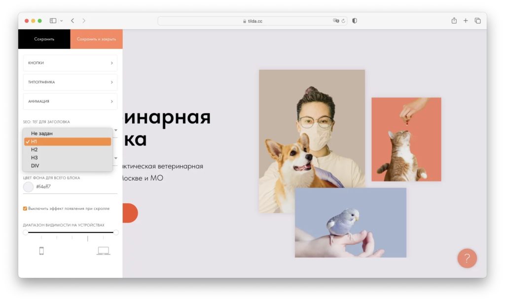 Как настроить SEO на TILDA? Полное руководство по шагам